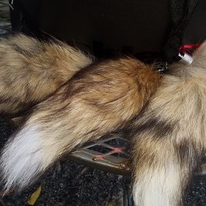 Real fox tails